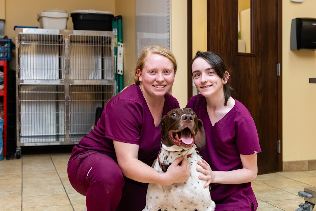 Freetown Animal Hospital | 6470 Freetown Rd #240, Columbia, MD 21044, USA | Phone: (410) 531-8070