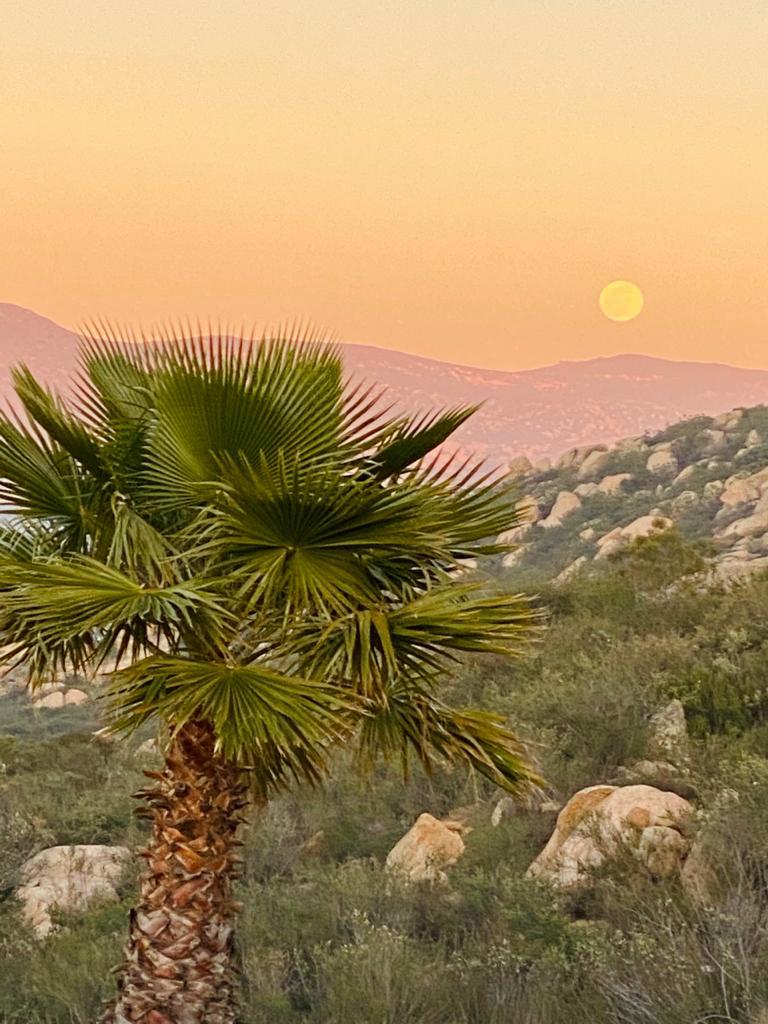 Luna Pink Cabaña | Estrella del Norte Ejido Nueva Colonia Hindú, 21507 Tecate, B.C., Mexico | Phone: 664 350 2294