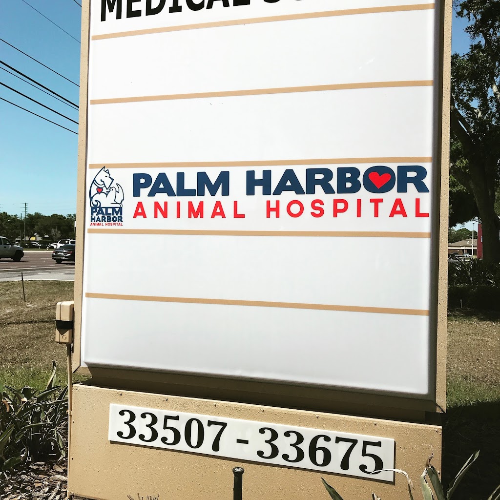 Palm Harbor Animal Hospital | 33663 US Hwy 19 N, Palm Harbor, FL 34684, USA | Phone: (727) 785-1010