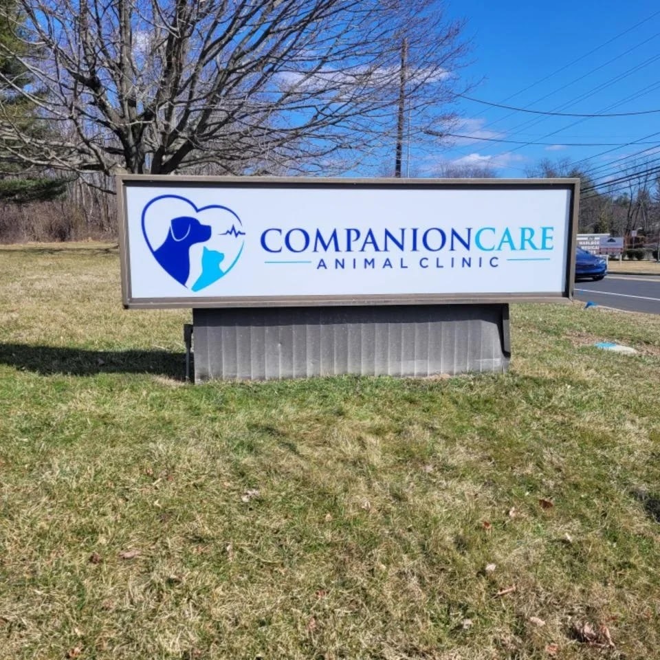 Companion Care Animal Clinic | 480 County Rd 520, Marlboro, NJ 07746 | Phone: (732) 946-8339