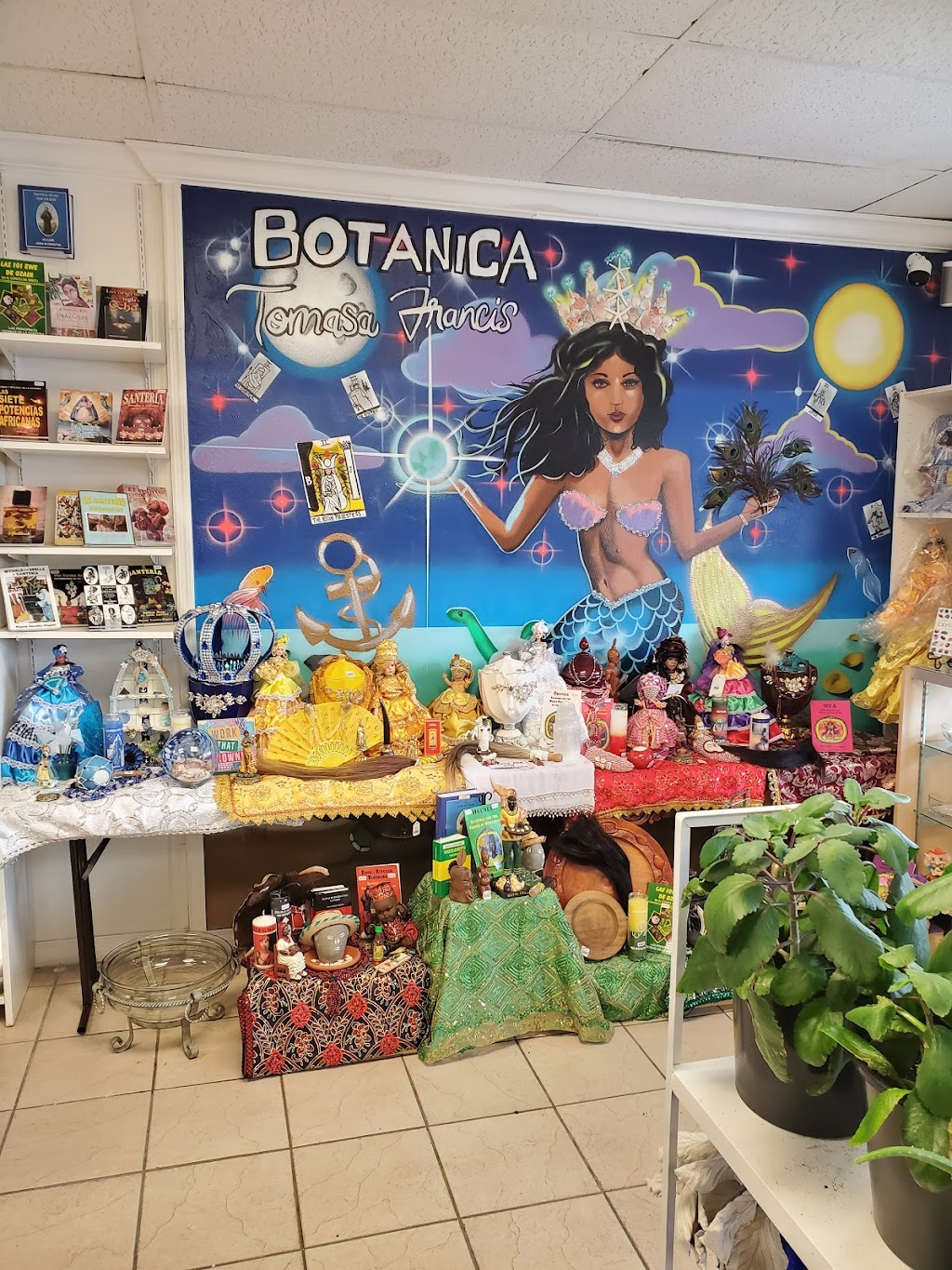 Botanica Tomasa Francis | 7120 Stirling Rd, Hollywood, FL 33024, USA | Phone: (954) 200-5905