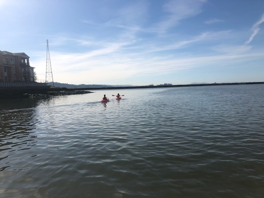 Bair Island Aquatic Center - Rowing and Paddling Club | 1450 Maple St, Redwood City, CA 94063, USA | Phone: (650) 241-8213