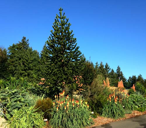 Point Defiance Zoo Botanical Garden | 5400 N Pearl St, Tacoma, WA 98407, USA | Phone: (253) 404-3800