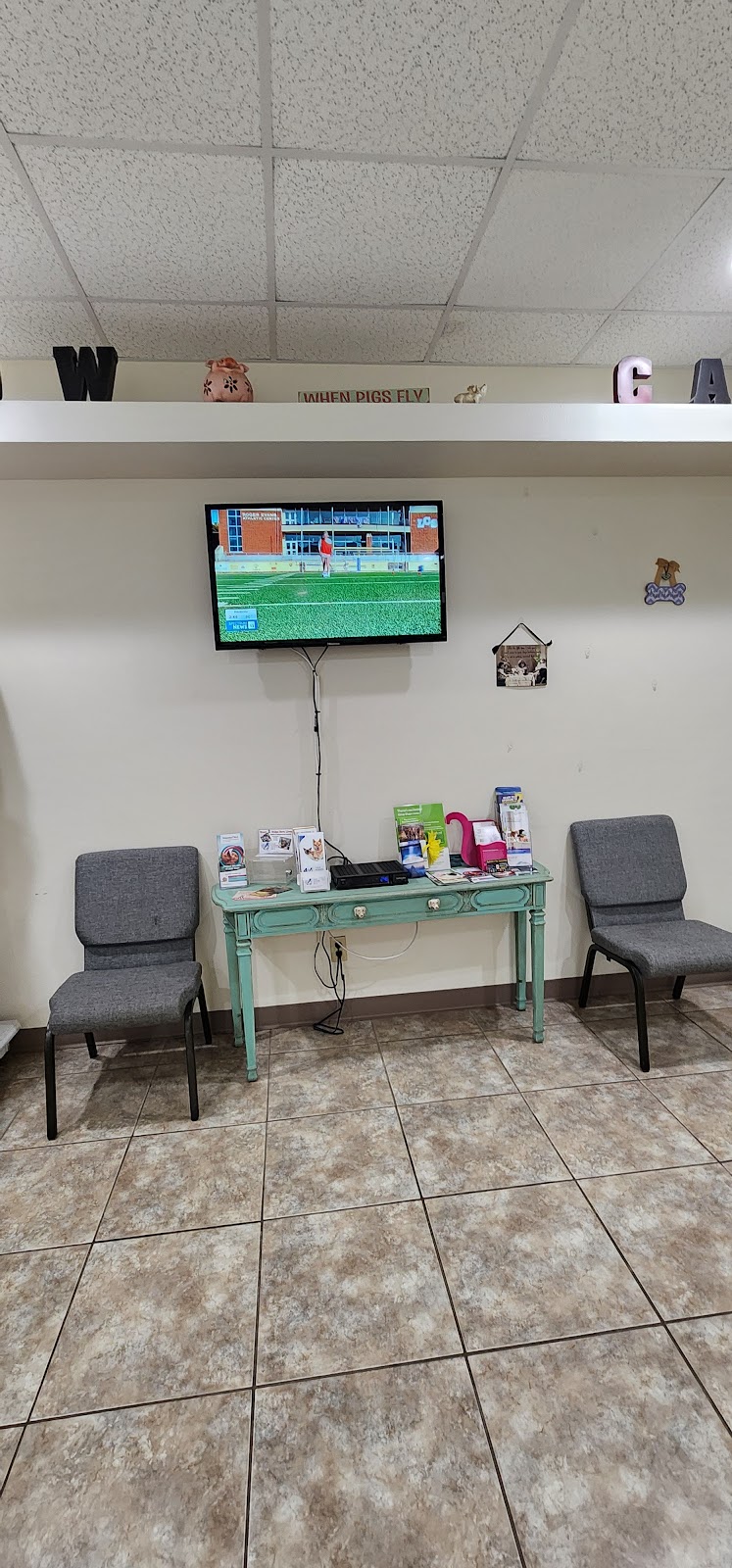 Lake Panasoffkee Animal Clinic | 1310 N County Rd 470, Lake Panasoffkee, FL 33538, USA | Phone: (352) 569-4018