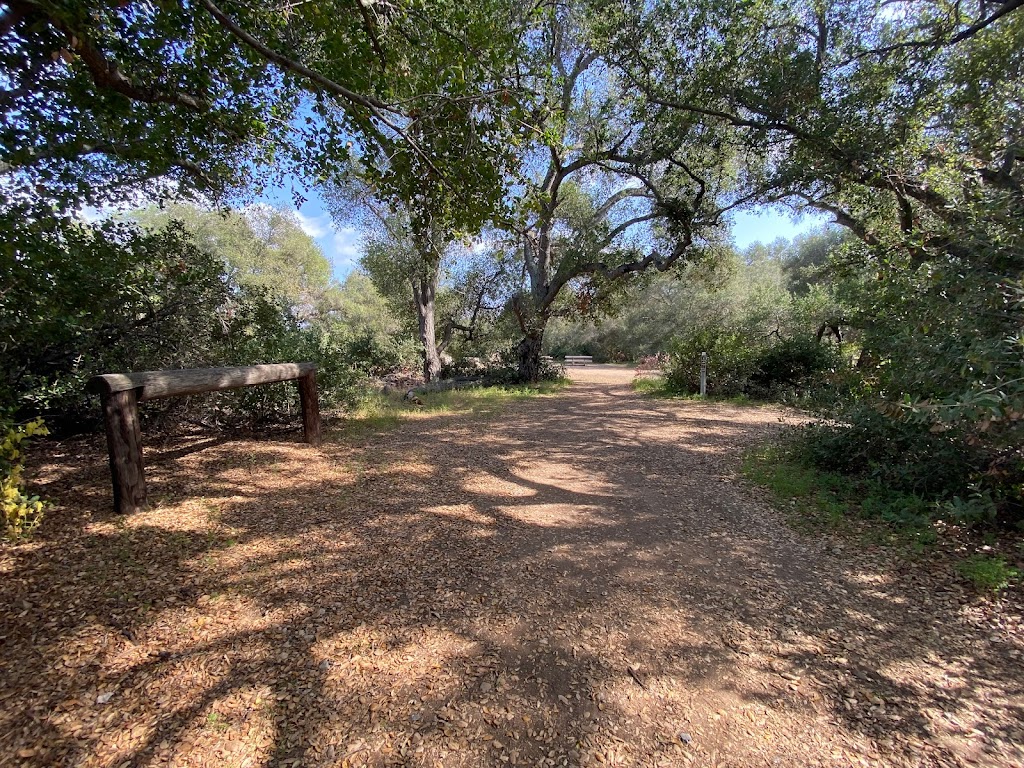 Owl & Quail Group Campground at Caspers Wilderness Park | 33401 Ortega Hwy., San Juan Capistrano, CA 92675, USA | Phone: (949) 923-2210