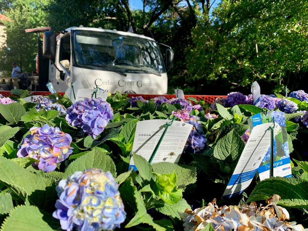 Cedar Crest Gardens | 2842 Singleton Blvd Suite 100, Dallas, TX 75212, USA | Phone: (214) 497-8555