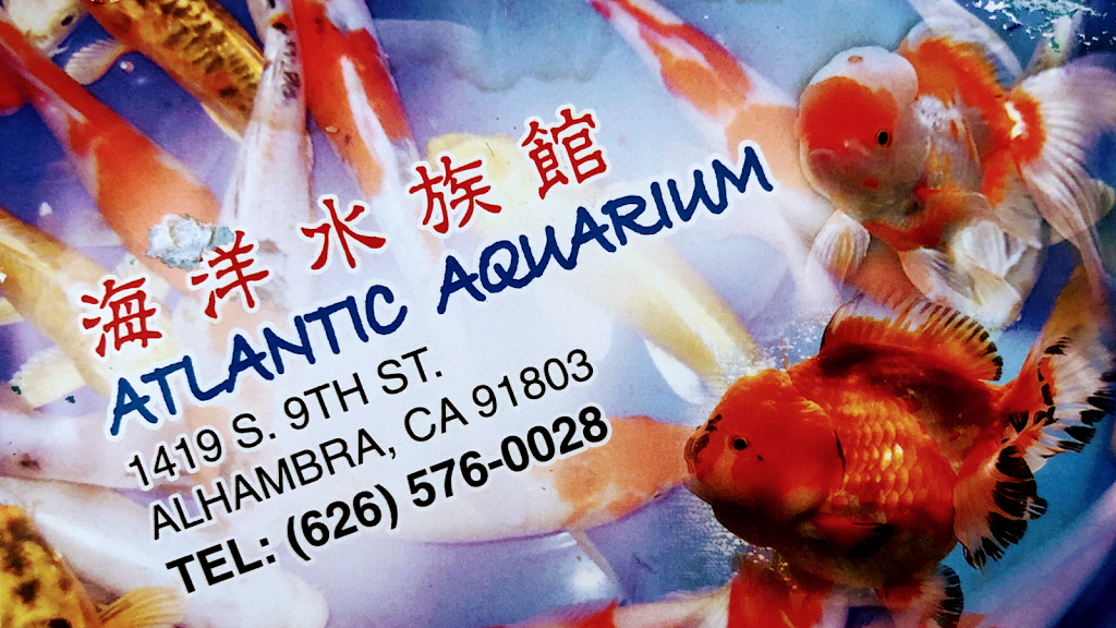 Atlantic Aquarium | 1419 S 9th St, Alhambra, CA 91803, USA | Phone: (626) 988-3320