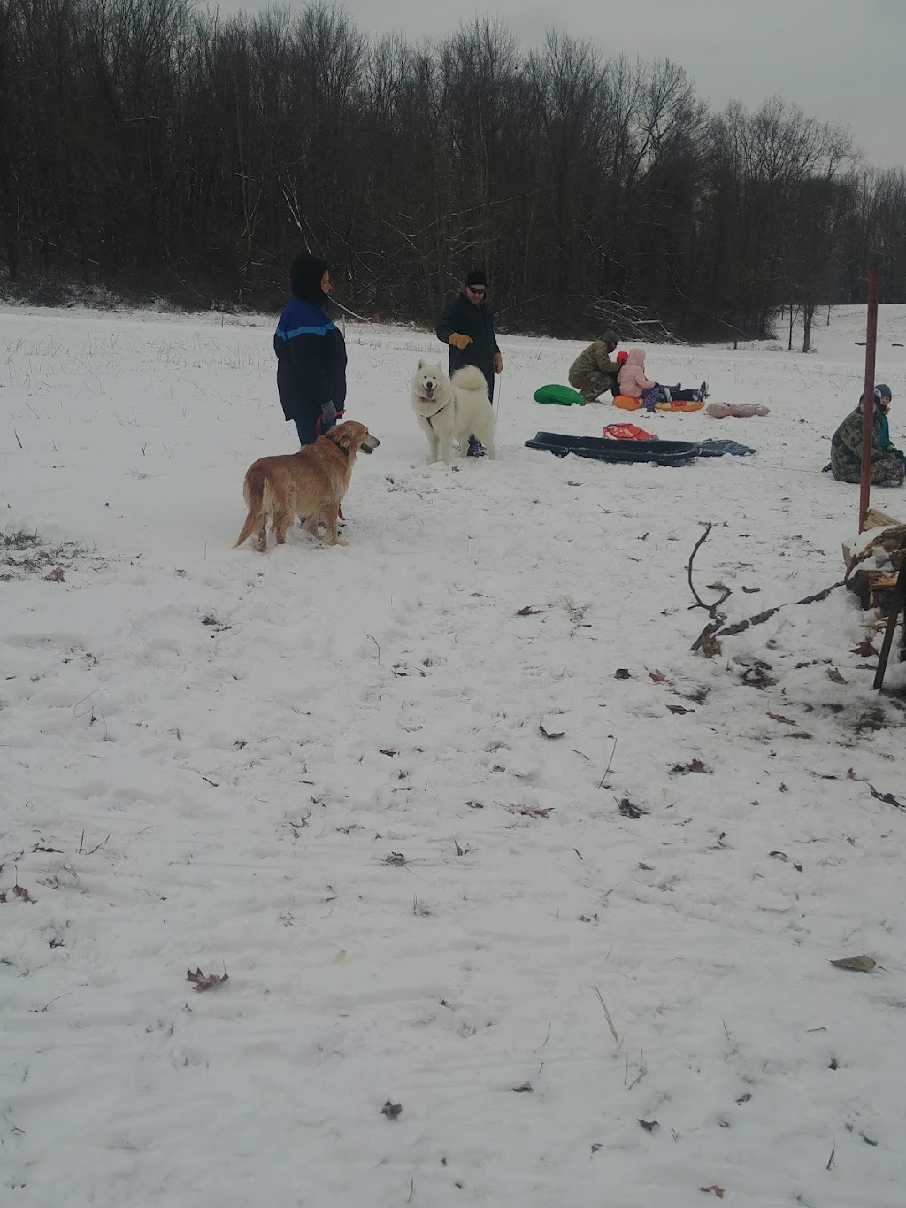 Moraine Sledding Area | 225 Pleasant Valley Rd, Portersville, PA 16051, USA | Phone: (724) 368-8811 Moraine Sledding Area | 225 Pleasant Valley Rd, Portersville, PA 16051, USA | Phone: (724) 368-8811
