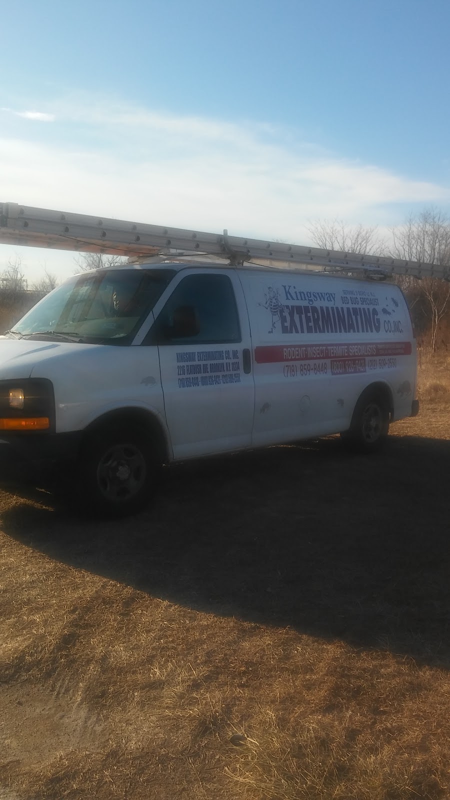 Kingsway Exterminating | 2216 Flatbush Ave, Brooklyn, NY 11234, USA | Phone: (718) 859-8448