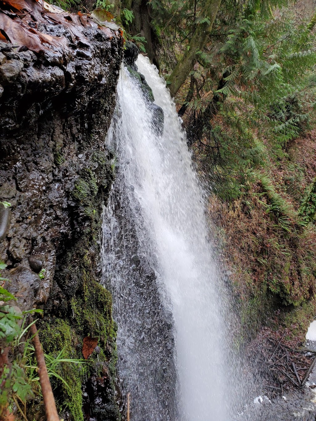 Victor Falls City Park | 18212 Rhodes Lake Rd E, Bonney Lake, WA 98391, USA | Phone: (253) 862-8602