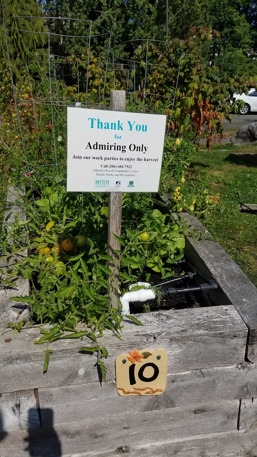 Meadowbrook Park Community Garden | 30th Ave NE, Seattle, WA 98125, USA | Phone: (206) 684-4075