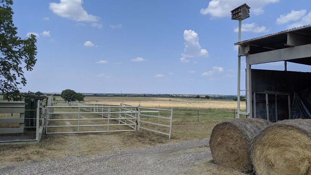 Windhill Ranch | 6300 County Rd 1126A, Godley, TX 76044, USA | Phone: (817) 240-3201