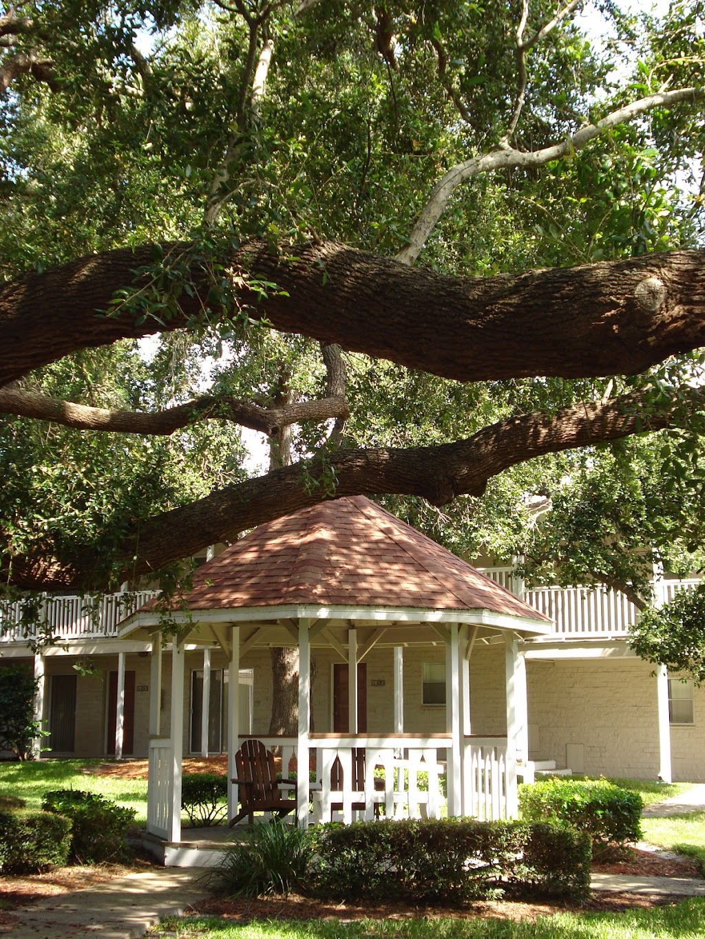 Grande Bay Apartments | 2909 Gulf to Bay Blvd, Clearwater, FL 33759 | Phone: (727) 725-2926