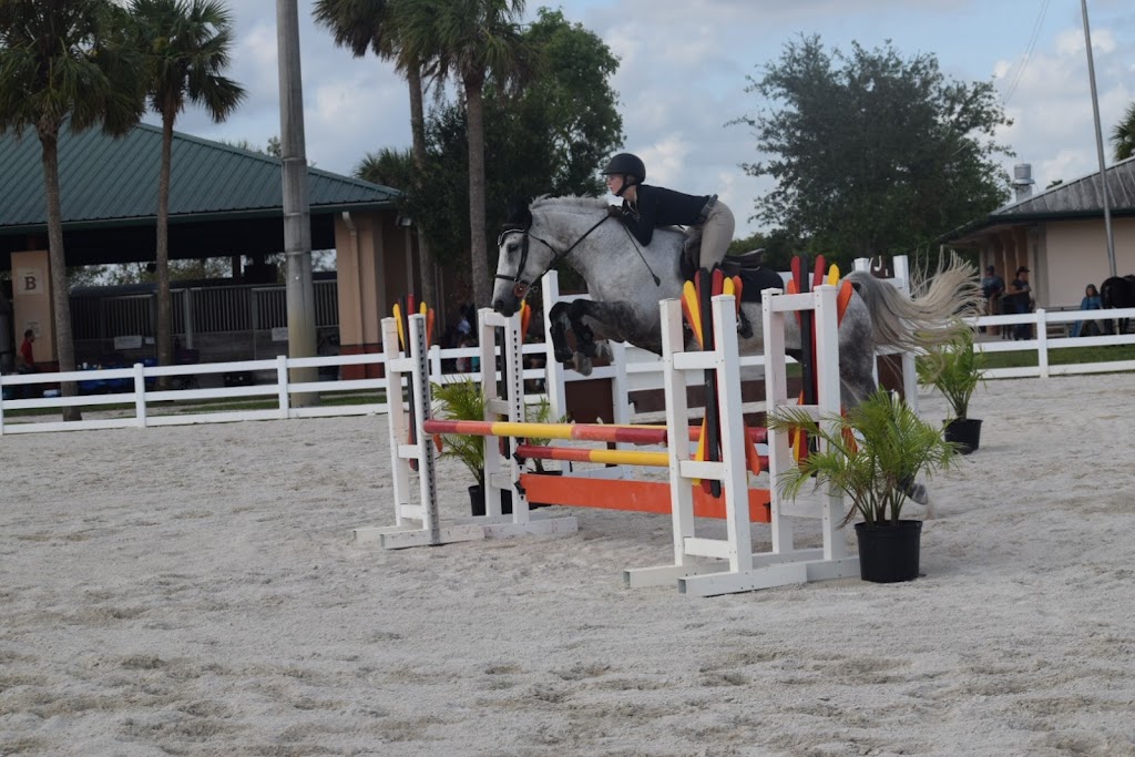 Sport Horse Stables, Corp. | 19525 SW 142nd Ave, Miami, FL 33177, USA | Phone: (305) 360-4104