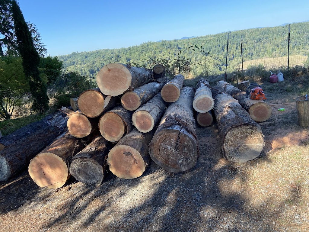 American Forest Lands Washington Logging Company LLC | 21410 SE 248th St, Maple Valley, WA 98038, USA | Phone: (800) 564-2568