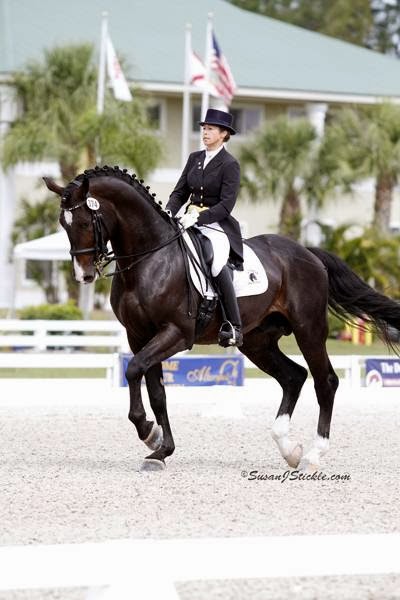 Adesco Dressage | 8281 Dines Rd, Novelty, OH 44072 | Phone: (216) 533-0920