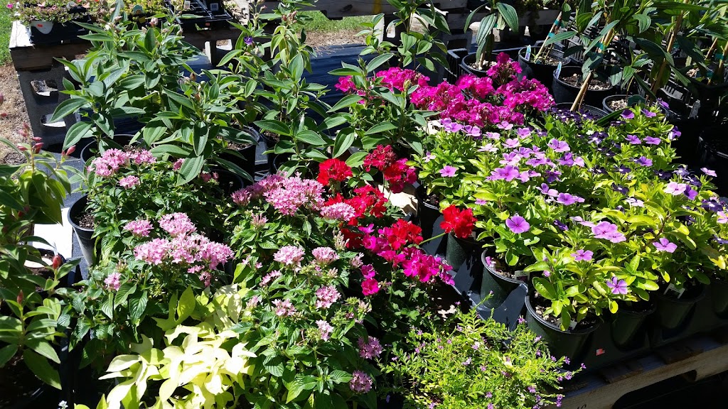 Garden Center of Pawhuska | 2824 Co Rd 5101, Pawhuska, OK 74056, USA | Phone: (918) 287-9180