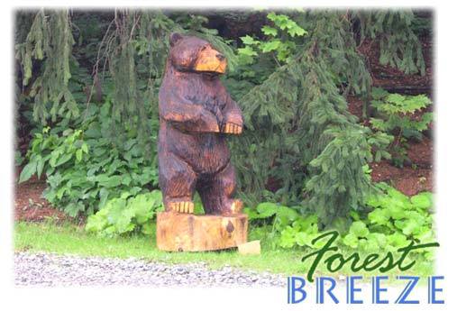 Forest Breeze Guest House | 165 Forest Dr, Ellwood City, PA 16117 | Phone: (724) 622-1785