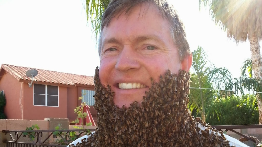 The Beehive Bee and Wasp Removal | 5227 W Harmont Dr, Glendale, AZ 85302 | Phone: (602) 600-5382