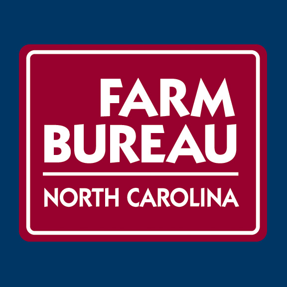 NC Farm Bureau Insurance | 101 N Ray St, Carthage, NC 28327, USA | Phone: (910) 947-2295