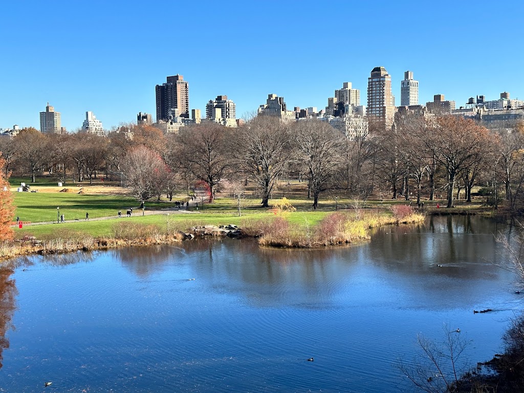 Belvedere Castle | New York, NY 10024, USA | Phone: (212) 772-0288 Belvedere Castle | New York, NY 10024, USA | Phone: (212) 772-0288