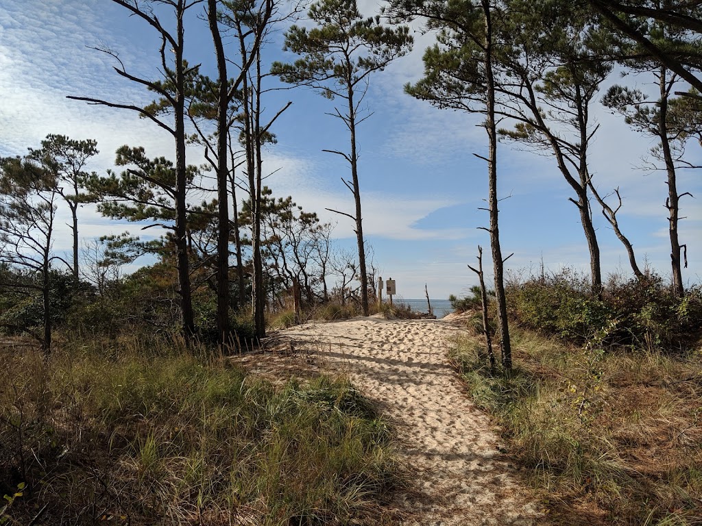 Savage Neck Dunes State Natural Area Preserve Parking Lot | 2186 Savage Neck Rd Drive, Cape Charles, VA 23310 | Phone: (757) 787-5989