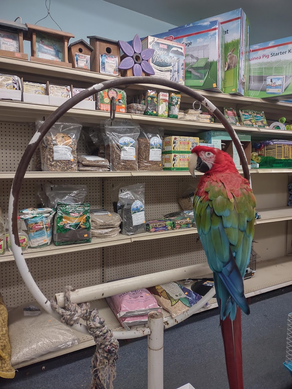 Midway Tropical Fish & Pets | 24101 Pacific Hwy S, Kent, WA 98032, USA | Phone: (206) 824-2616