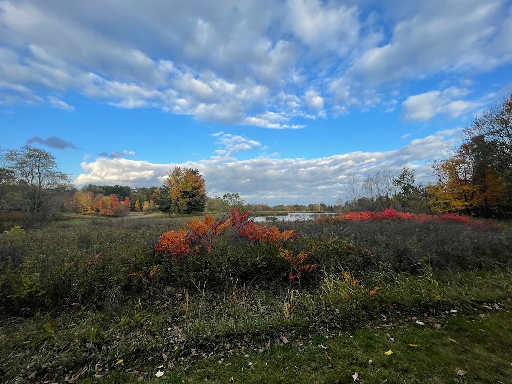 Chestnut Ridge Metro Park | 8445 Winchester Rd NW, Carroll, OH 43112, USA | Phone: (614) 208-4298