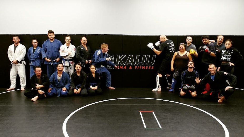 Kaiju MMA & Fitness | 18851 Ventura Blvd, Tarzana, CA 91356, USA | Phone: (818) 231-1119