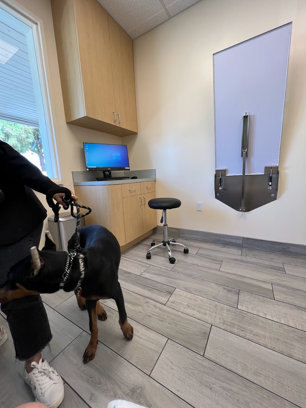 Animal Orthopedic Center | 446 N Lakeview Ave, Anaheim, CA 92807, USA | Phone: (714) 701-6720