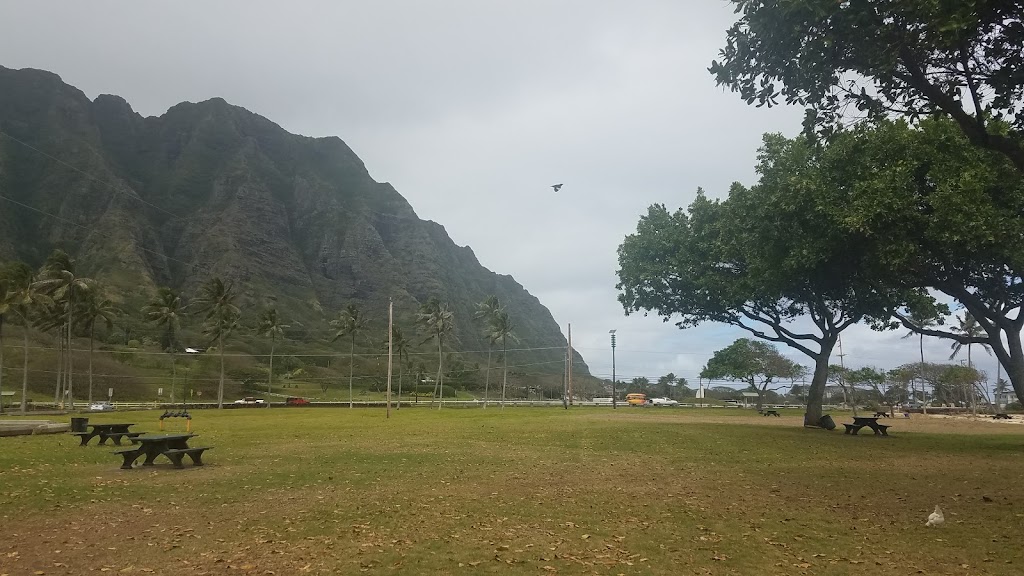 Kualoa Regional Park | 49-479 Kamehameha Hwy, Kaneohe, HI 96744, USA | Phone: (808) 768-8974