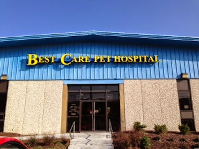 Best Care Pet Hospital | 3030 L St, Omaha, NE 68107, USA | Phone: (402) 734-1494