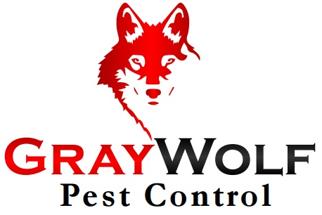 Gray Wolf Pest Control | 6347 Concession 6 South, Amherstburg, ON N9V 0C8, Canada | Phone: (519) 790-8982