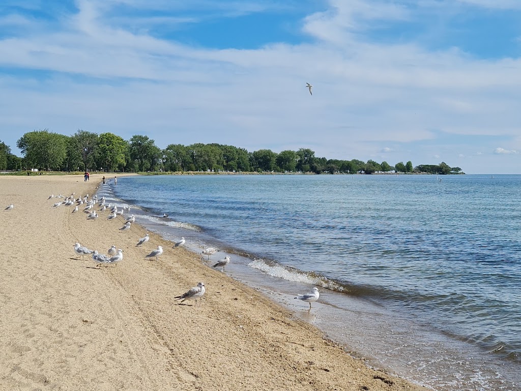 Lake Saint Clair Metropark | 31300 Metro Pkwy, Harrison Twp, MI 48045, USA | Phone: (586) 463-4581