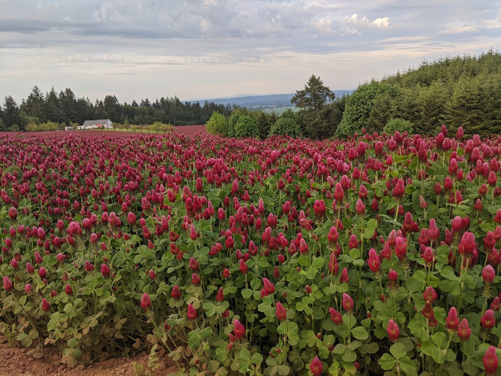 Eischen Hill Farms | 39200 SW Eischen Dr, Cornelius, OR 97113, USA | Phone: (503) 357-8996