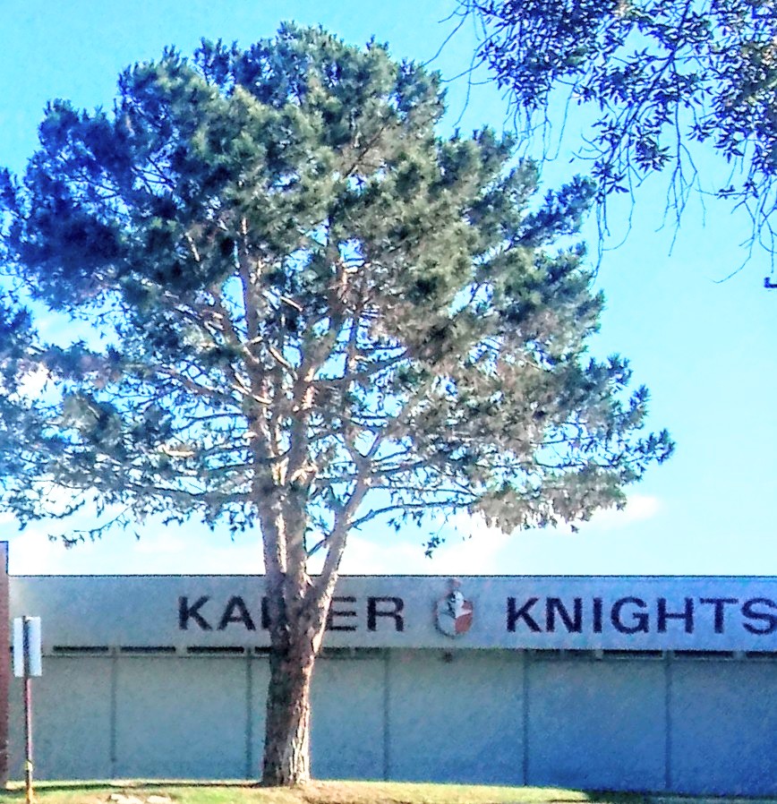 Kaiser Elementary School | 2130 Santa Ana Ave, Costa Mesa, CA 92627, USA | Phone: (949) 515-6950