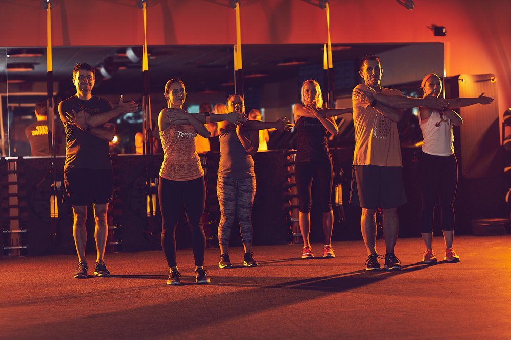 North Colony Animal Clinic | 4695 N Colony Blvd, The Colony, TX 75056, USA | Phone: (972) 370-7277