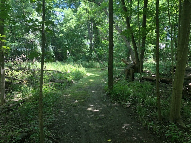 Bell Creek Nature Preserve | 16401 Harrison St, Livonia, MI 48154, USA | Phone: (734) 484-6565