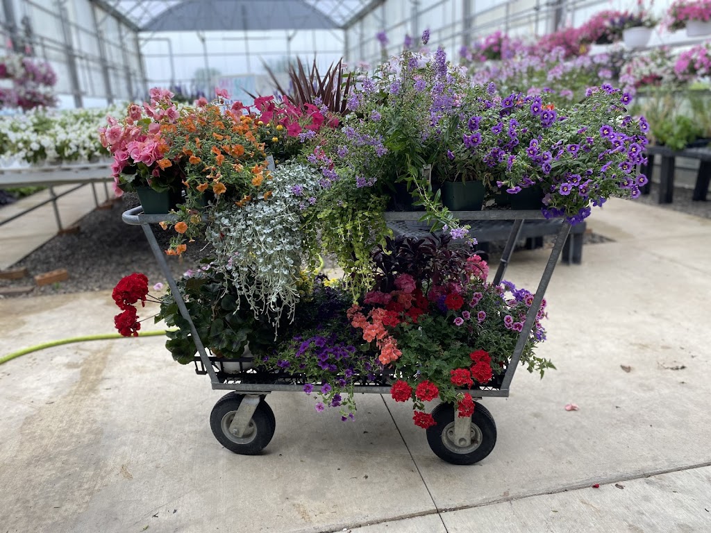 Regans Greenhouse at the Farm | Jefferson Township, OH 43160, USA | Phone: (740) 505-7441