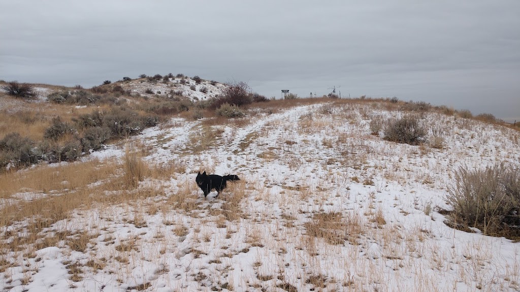 Dry Creek Trailhead Parking | 8466-, 8768 N Bogus Basin Rd, Boise, ID 83702, USA | Phone: (208) 493-2531