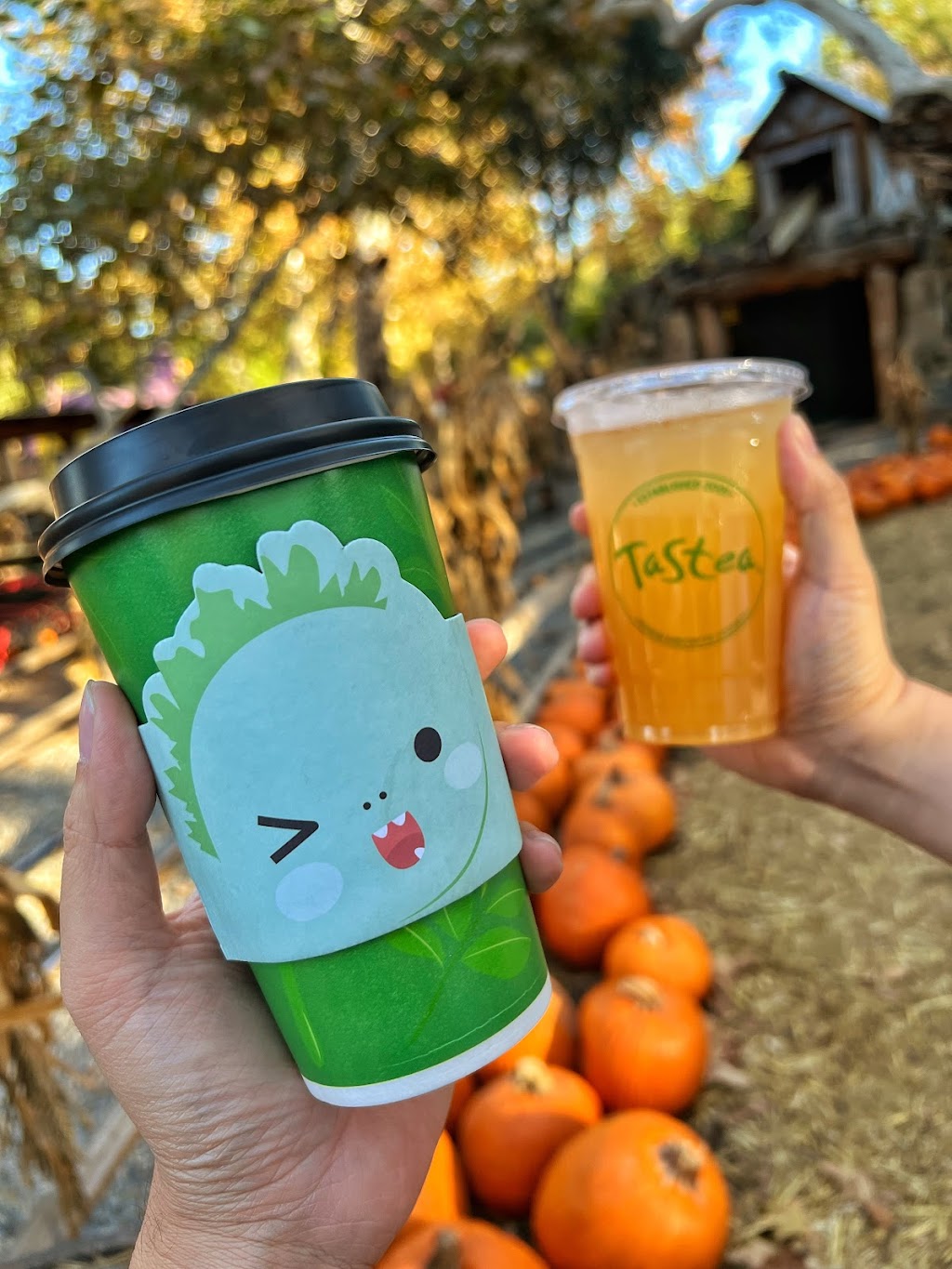 Tastea Irvine | 3972 Barranca Pkwy Suite K, Irvine, CA 92606 | Phone: (949) 396-6283