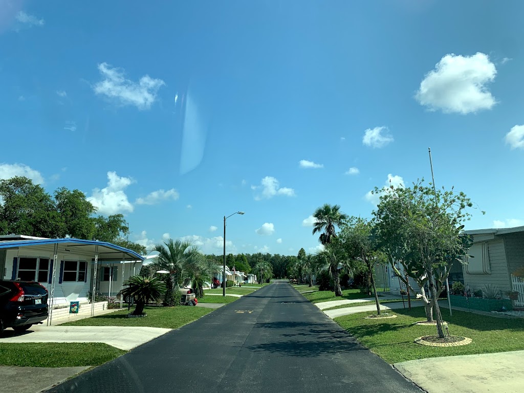 Palm Tree Acres Mobile Home Community | 36006 FL-54, Zephyrhills, FL 33541 | Phone: (813) 782-3259