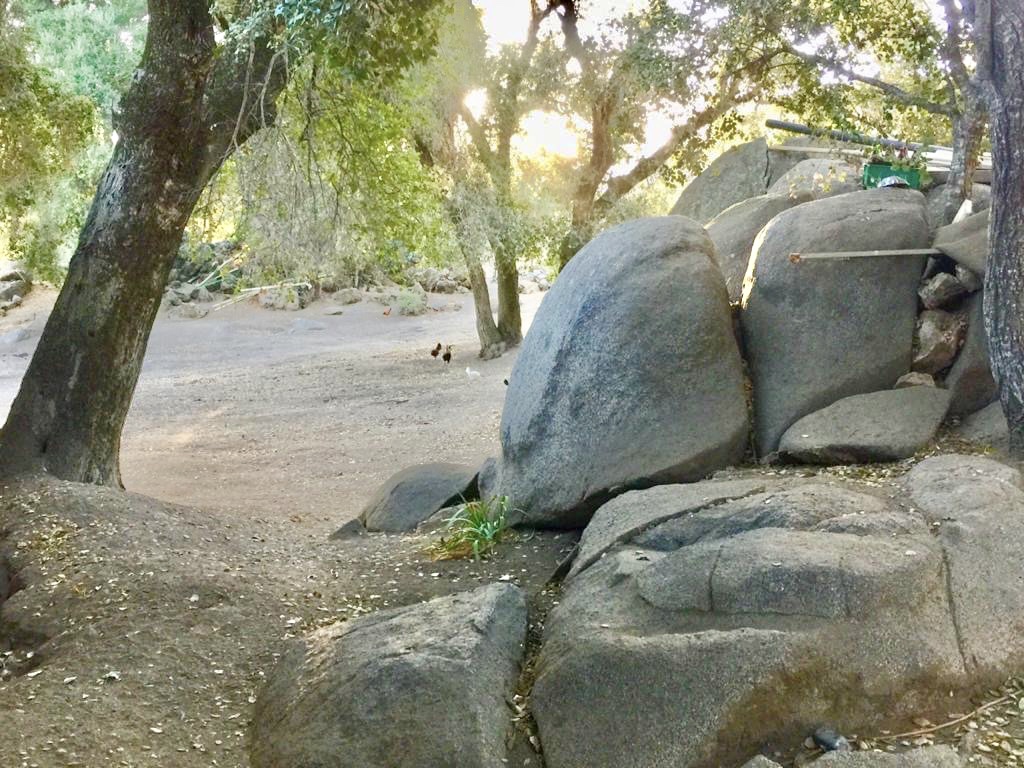 Rancho San Andrés (Las Juntas) | Cam. al Rancho Las Juntas, 21553 B.C., Mexico | Phone: 664 193 4179