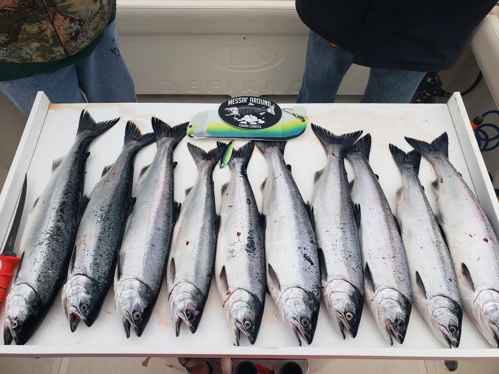 Messin around fishing charters | 9790 Ogle Rd NE, Bremerton, WA 98311, USA | Phone: (360) 621-2681