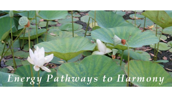 Energy Pathways to Harmony | 1861 Springfield Ave, Maplewood, NJ 07040, USA | Phone: (917) 353-7363