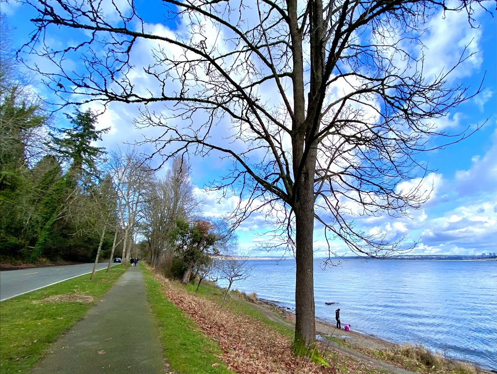 Adams Street Boat Ramp | Lake Washington Blvd S & S Adams St, Seattle, WA 98118, USA | Phone: (206) 684-4075