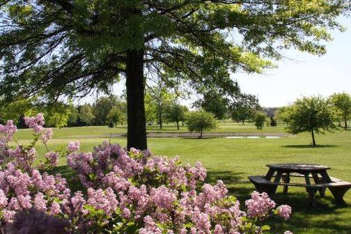 Shady Grove Golf Course and Restaurant | 15733 US-224, Findlay, OH 45840, USA | Phone: (419) 422-7494