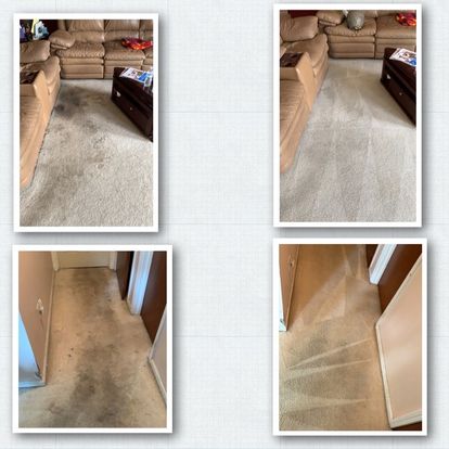 First Coast Carpet and In-Home Services, LLC | 3728 Philips Hwy #46B, Jacksonville, FL 32207, USA | Phone: (904) 944-7025