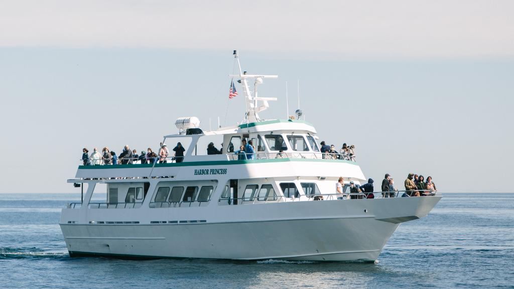 Capn Fishs Cruises | 42 Commercial St, Boothbay Harbor, ME 04538, USA | Phone: (207) 888-0958
