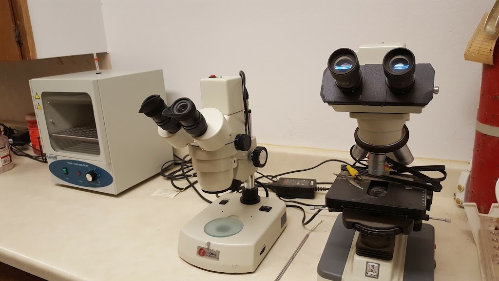 Tri Star Equine Veterinary Services | 24860 N Tully Rd, Acampo, CA 95220, USA | Phone: (209) 367-1160